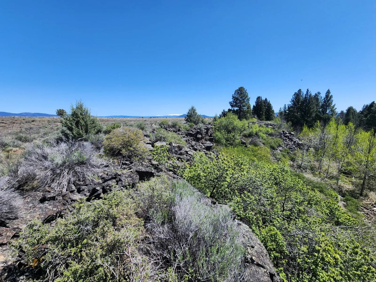 Decorative background for Tired of Asking Permission? 2.05 Acres in Oregon Says You Never Have To Again image 14