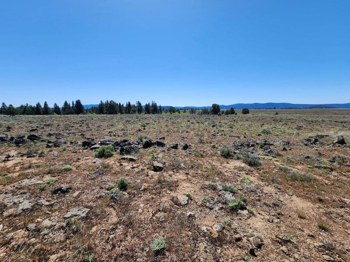 Decorative background for Tired of Asking Permission? 2.05 Acres in Oregon Says You Never Have To Again image 15