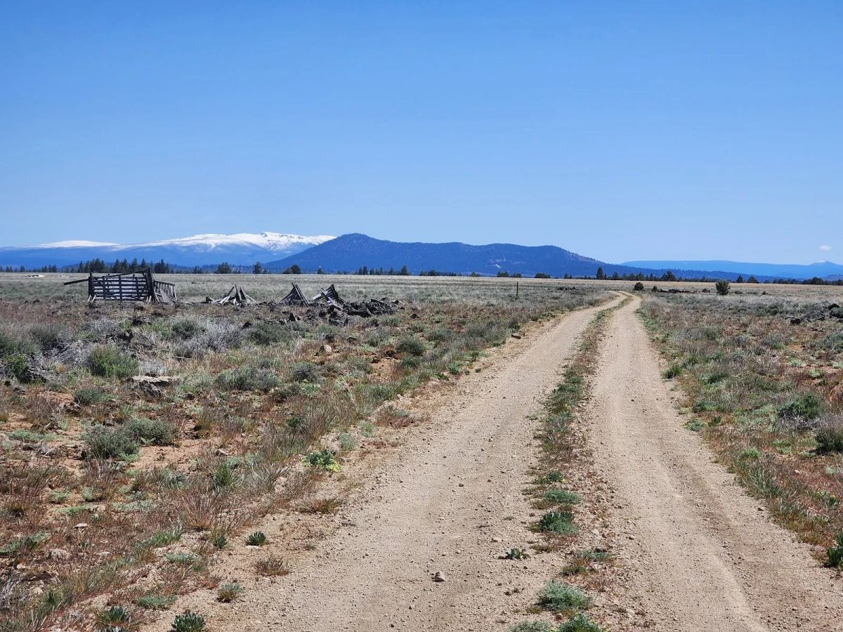 Decorative background for Tired of Asking Permission? 2.05 Acres in Oregon Says You Never Have To Again image 16