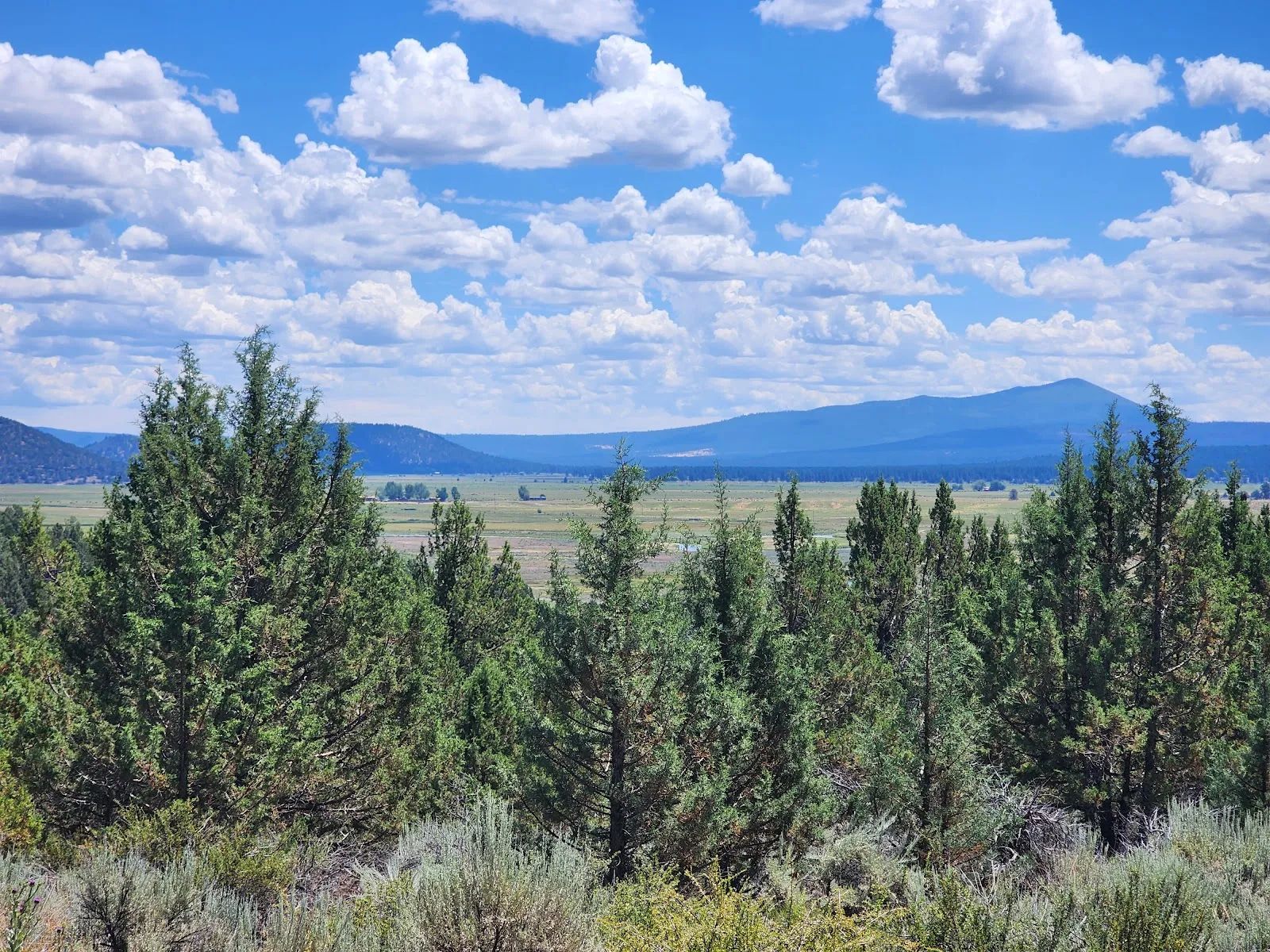 Tucked Away in the Trees: 1.79 Private Acres in Klamath County in Klamath County, OR