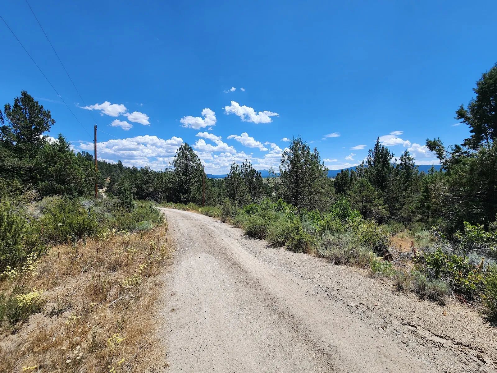 Tucked Away in the Trees: 1.79 Private Acres in Klamath County in Klamath County, OR