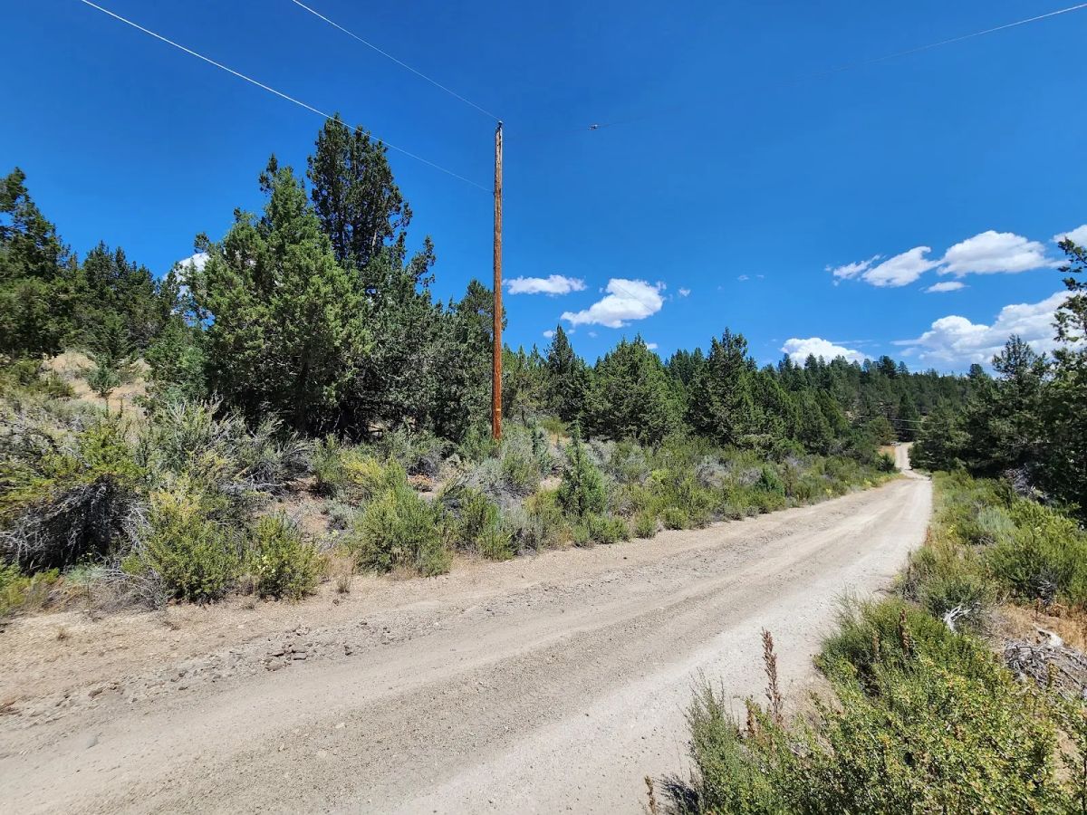 Decorative background for Tucked Away in the Trees: 1.79 Private Acres in Klamath County image 7