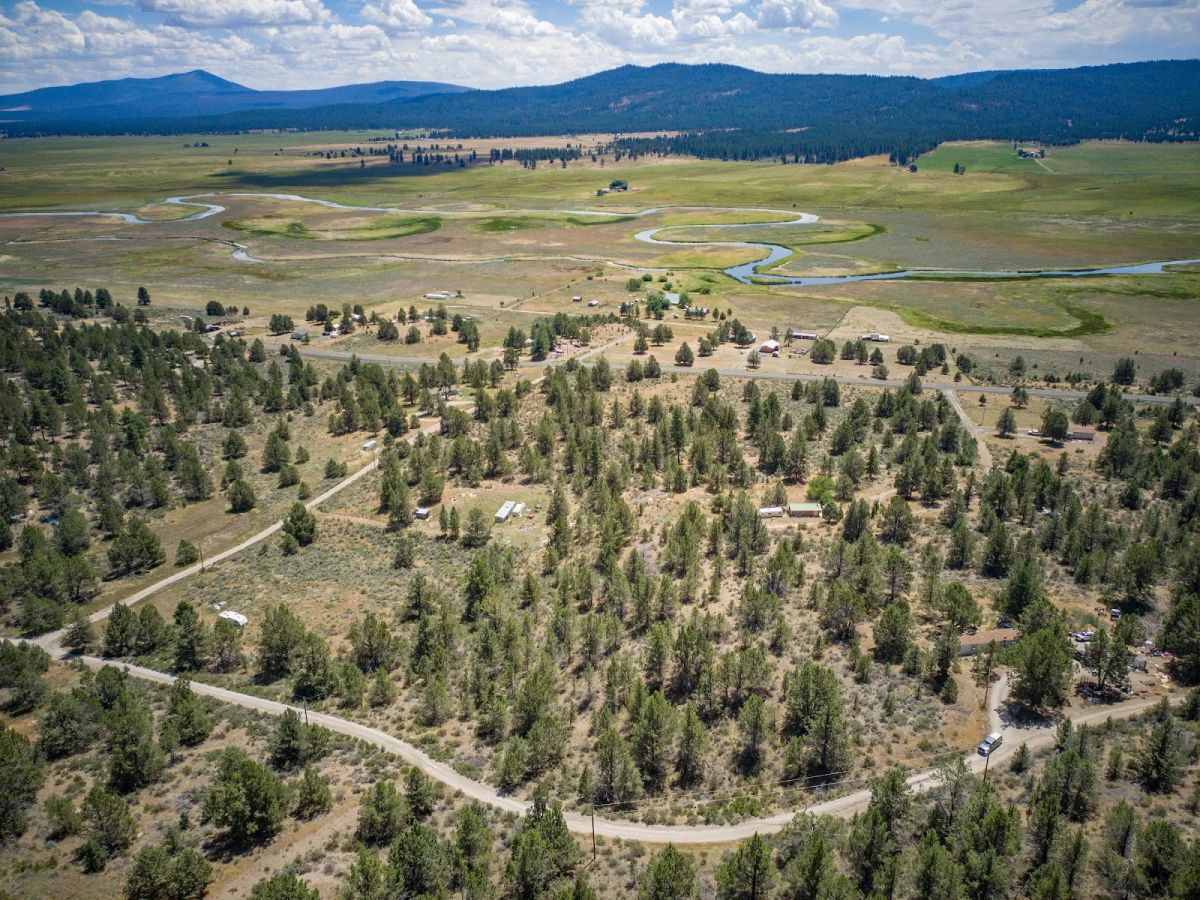 Decorative background for Tucked Away in the Trees: 1.79 Private Acres in Klamath County image 14