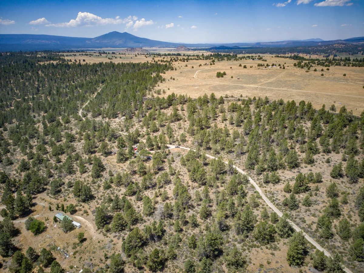 Decorative background for Tucked Away in the Trees: 1.79 Private Acres in Klamath County image 15