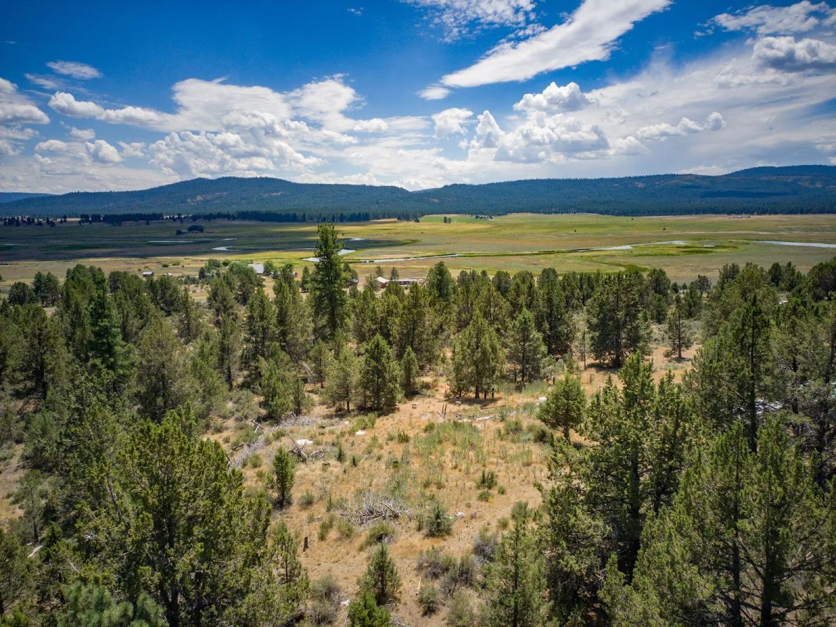 Decorative background for Tucked Away in the Trees: 1.79 Private Acres in Klamath County image 16