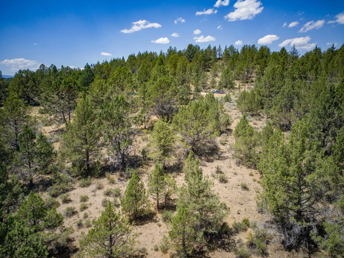 Decorative background for Tucked Away in the Trees: 1.79 Private Acres in Klamath County image 18