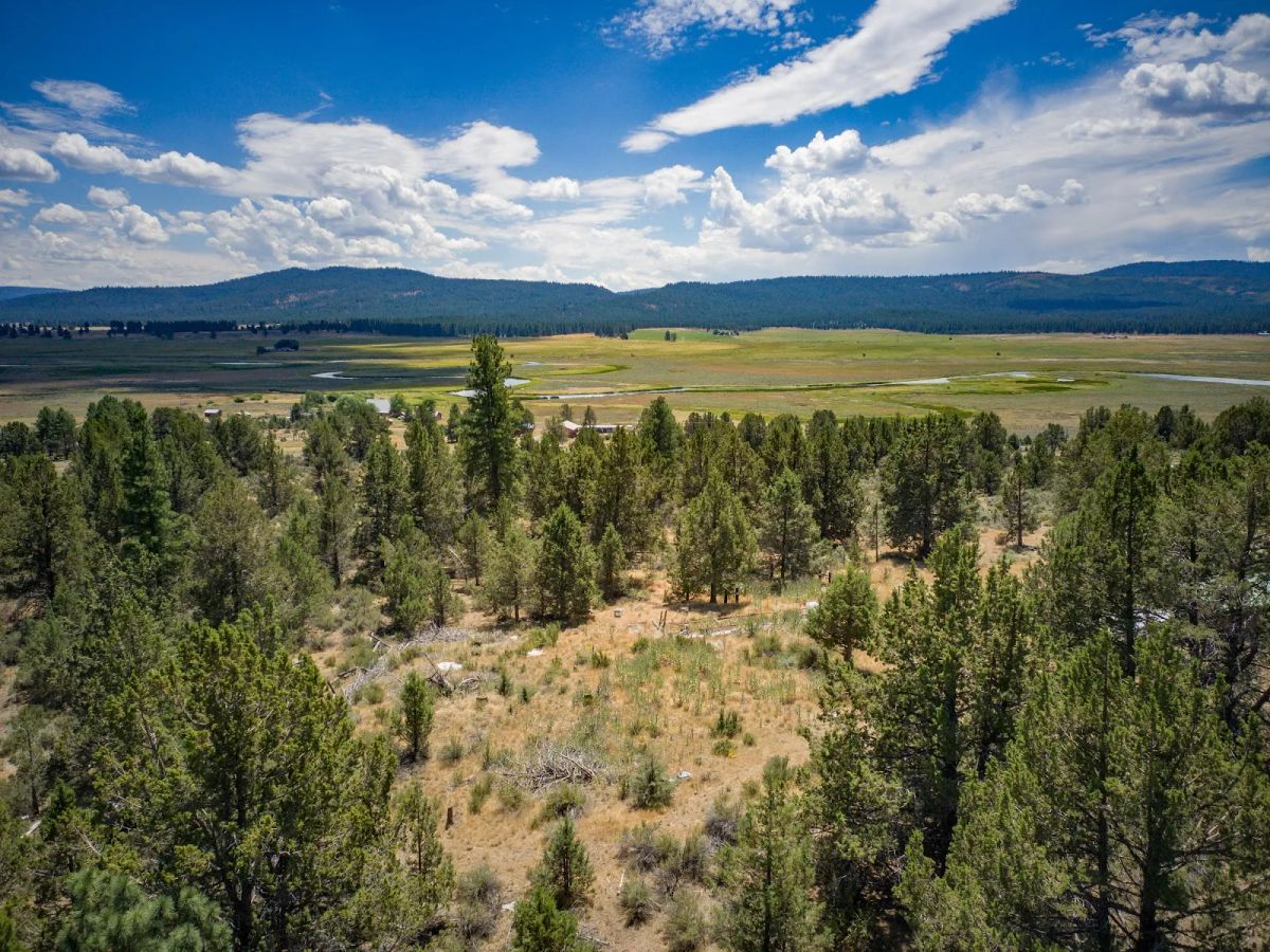 Decorative background for Tucked Away in the Trees: 1.79 Private Acres in Klamath County image 19