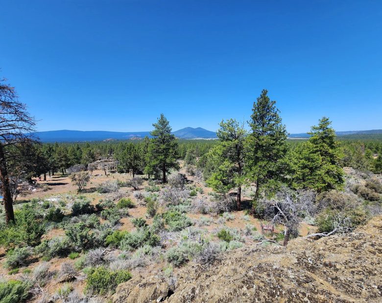 Ancient Rocks, Big Sky, and 2.82 Acres All to Yourself in Klamath County, OR