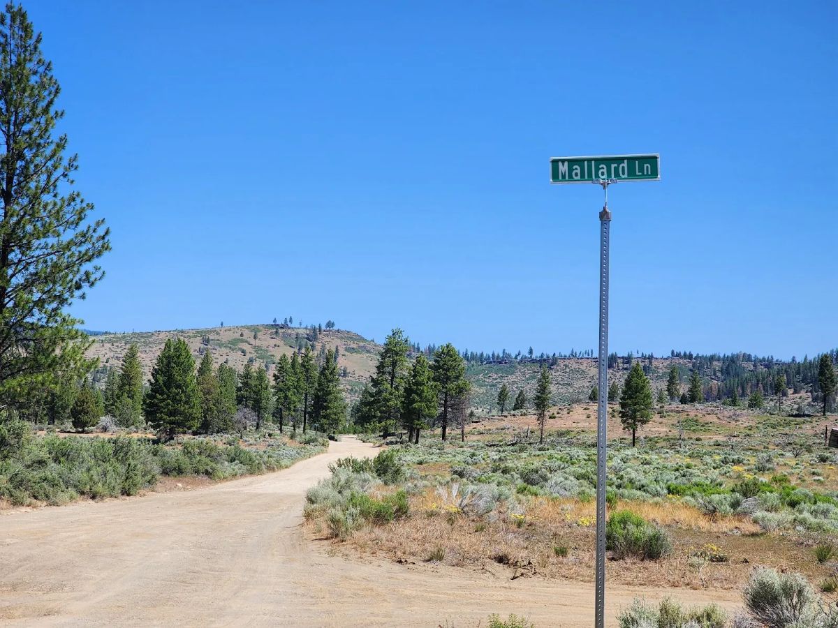 Ancient Rocks, Big Sky, and 2.82 Acres All to Yourself - Image 2