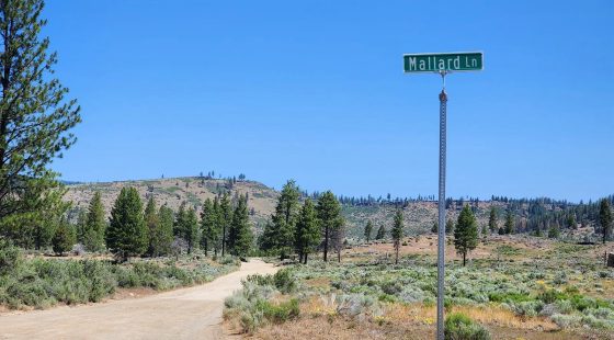 Ancient Rocks, Big Sky, and 2.82 Acres All to Yourself in Klamath County, OR