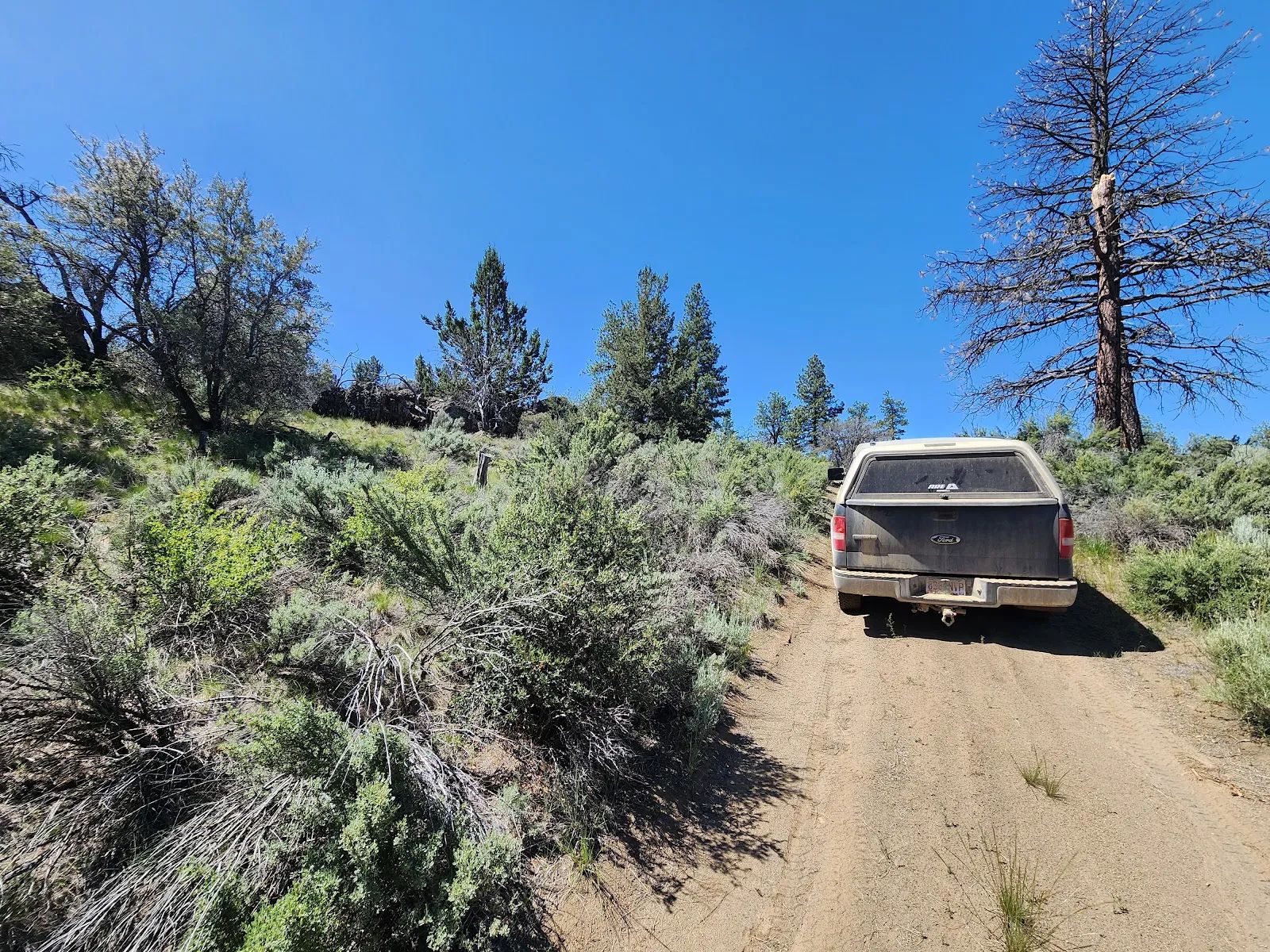 Ancient Rocks, Big Sky, and 2.82 Acres All to Yourself in Klamath County, OR