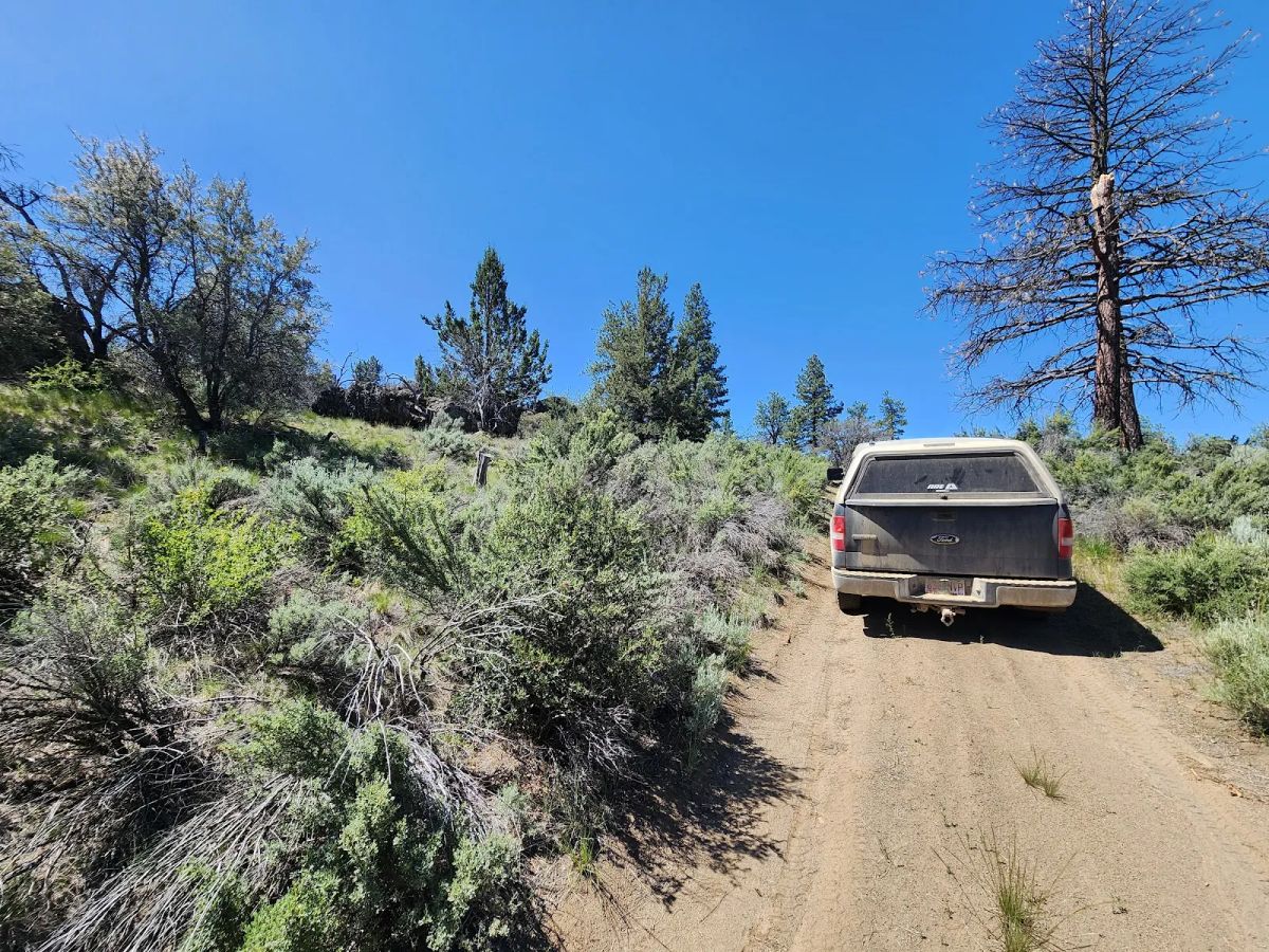 Ancient Rocks, Big Sky, and 2.82 Acres All to Yourself - Image 3