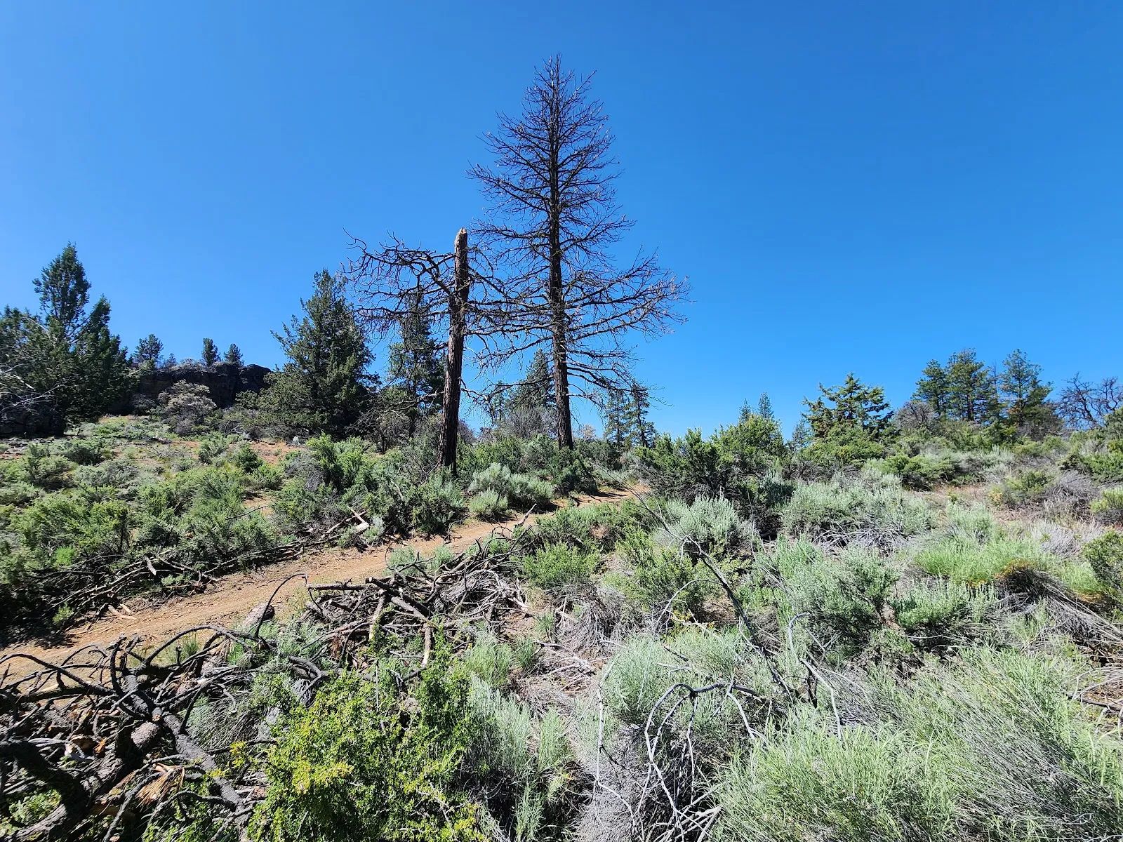 Ancient Rocks, Big Sky, and 2.82 Acres All to Yourself in Klamath County, OR