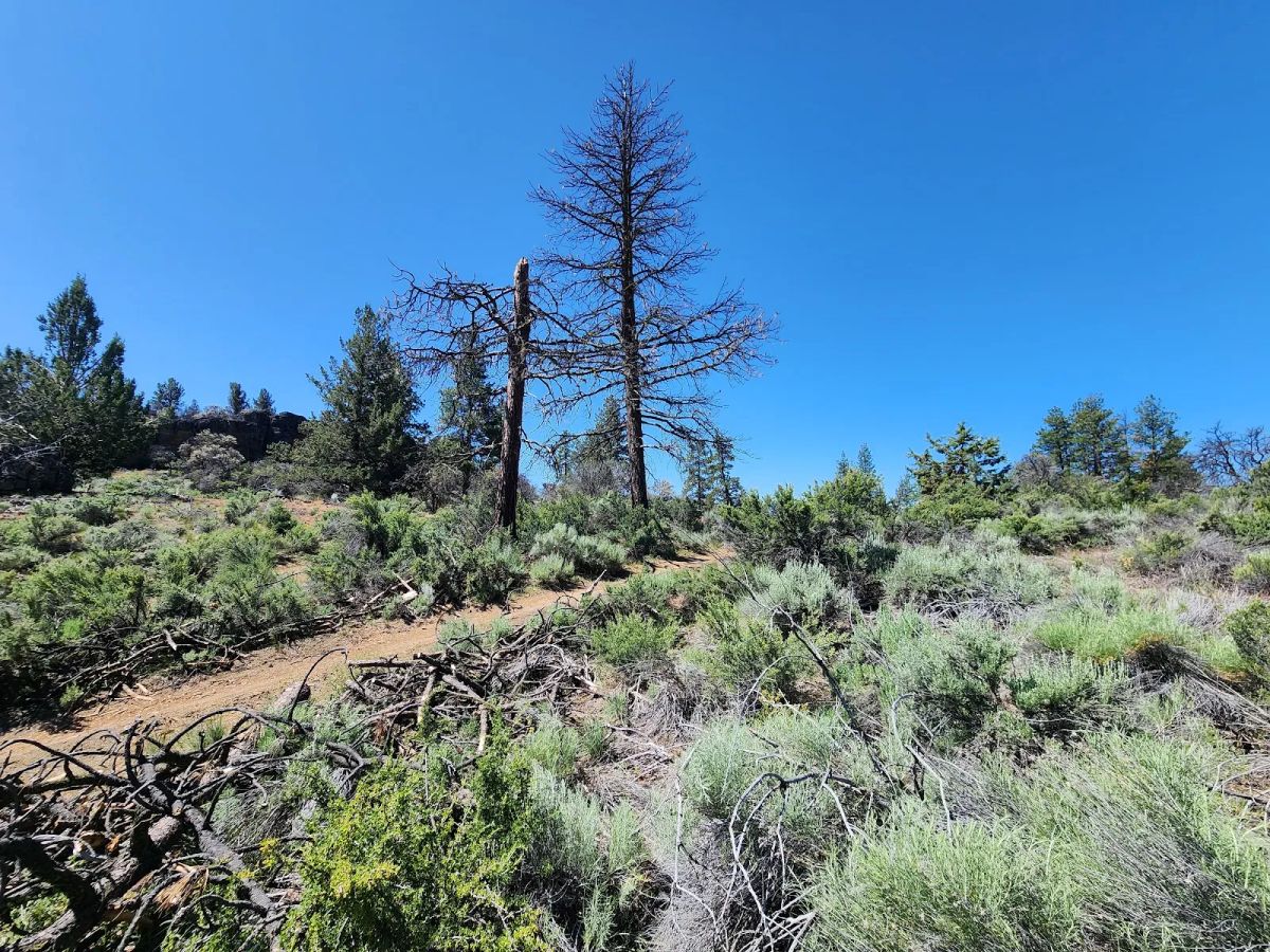 Ancient Rocks, Big Sky, and 2.82 Acres All to Yourself - Image 4