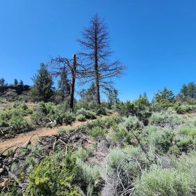 Ancient Rocks, Big Sky, and 2.82 Acres All to Yourself in Klamath County, OR