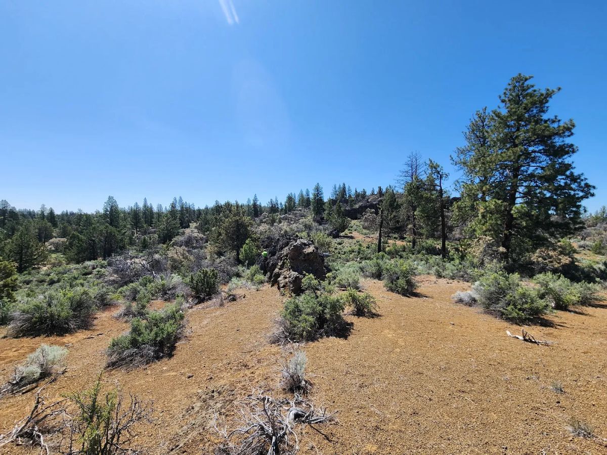 Decorative background for Ancient Rocks, Big Sky, and 2.82 Acres All to Yourself image 5