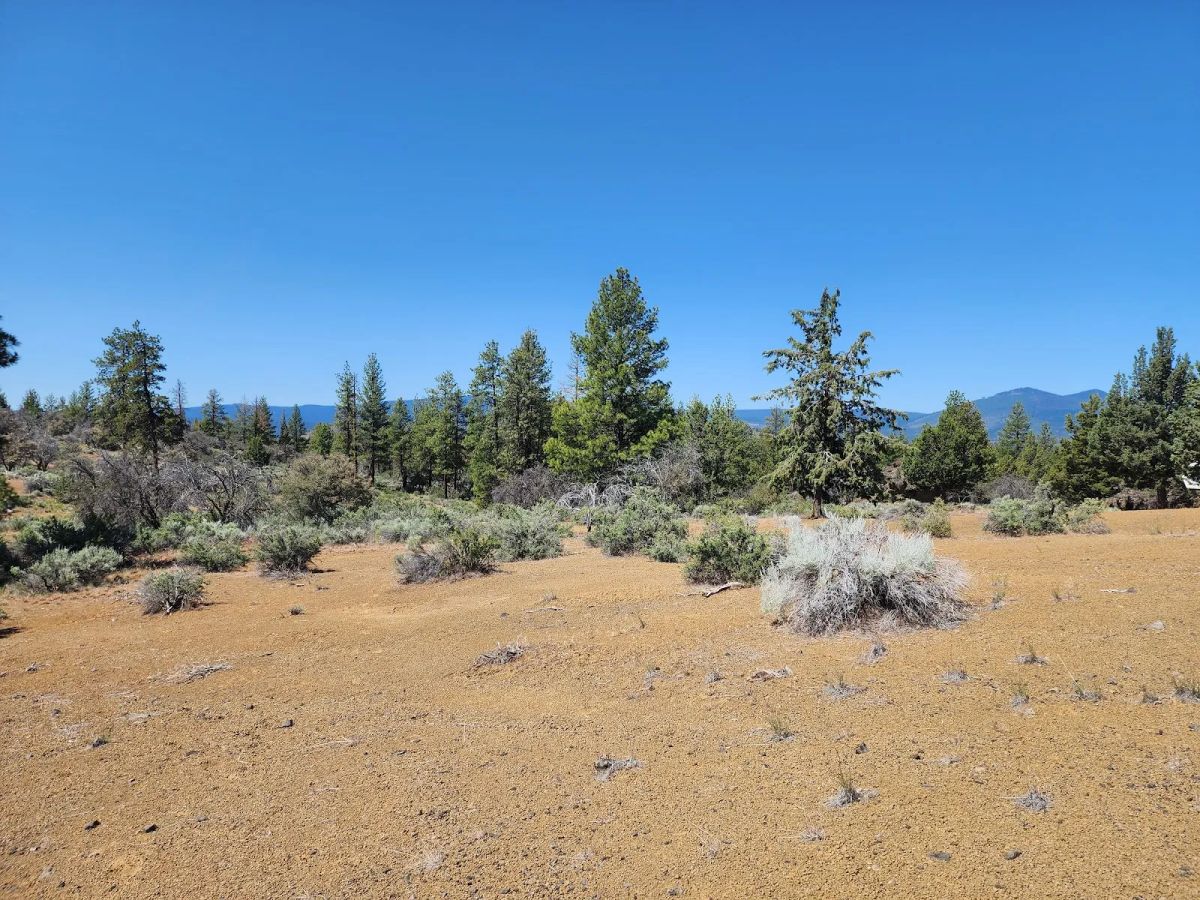 Decorative background for Ancient Rocks, Big Sky, and 2.82 Acres All to Yourself image 6