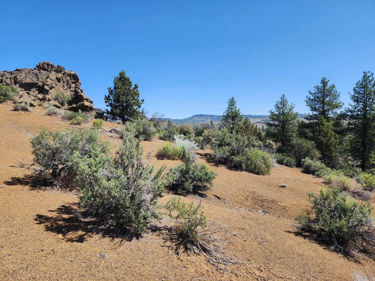 Decorative background for Ancient Rocks, Big Sky, and 2.82 Acres All to Yourself image 7