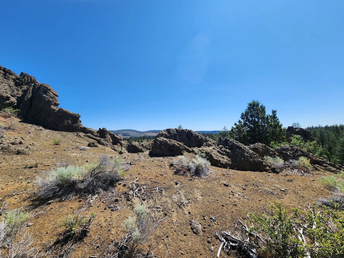 Decorative background for Ancient Rocks, Big Sky, and 2.82 Acres All to Yourself image 10