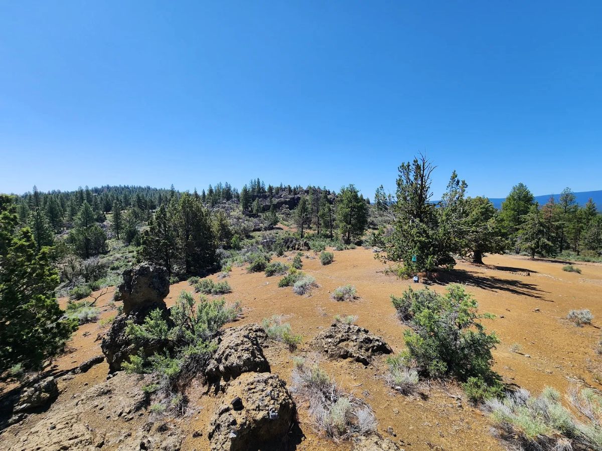 Decorative background for Ancient Rocks, Big Sky, and 2.82 Acres All to Yourself image 12