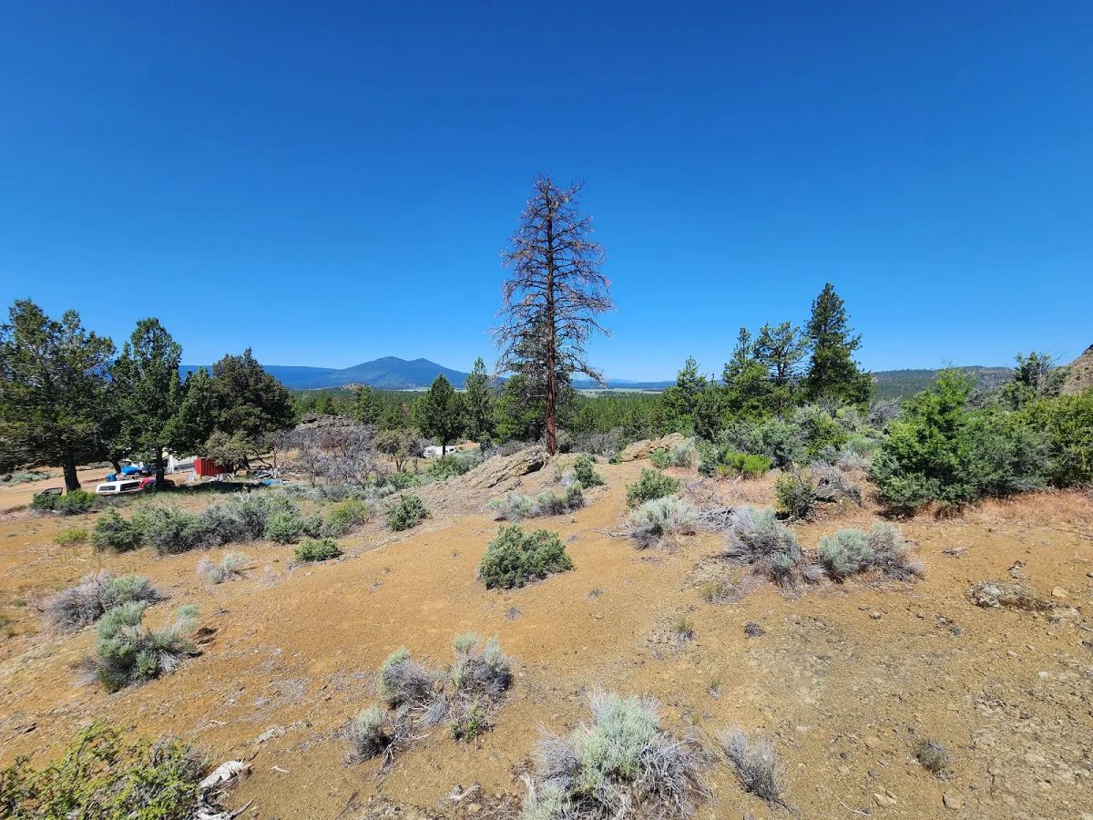 Decorative background for Ancient Rocks, Big Sky, and 2.82 Acres All to Yourself image 14