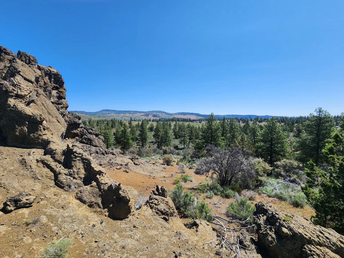 Decorative background for Ancient Rocks, Big Sky, and 2.82 Acres All to Yourself image 16