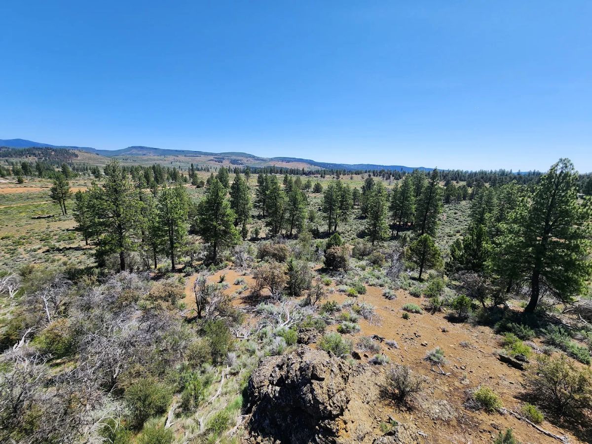 Decorative background for Ancient Rocks, Big Sky, and 2.82 Acres All to Yourself image 17