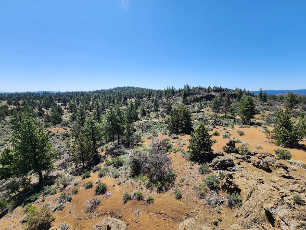 Decorative background for Ancient Rocks, Big Sky, and 2.82 Acres All to Yourself image 19