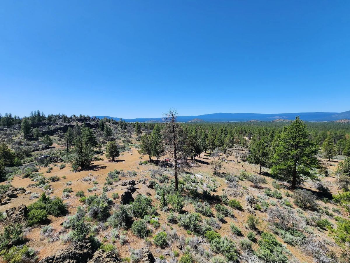 Decorative background for Ancient Rocks, Big Sky, and 2.82 Acres All to Yourself image 21