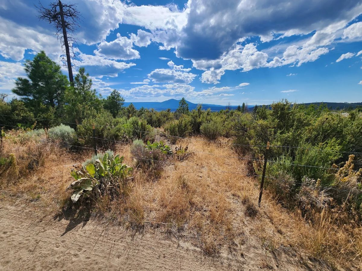 Your Future Homesite in Klamath Forest Estates - Main image