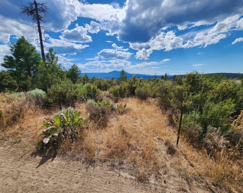 Your Future Homesite in Klamath Forest Estates in Klamath County, OR