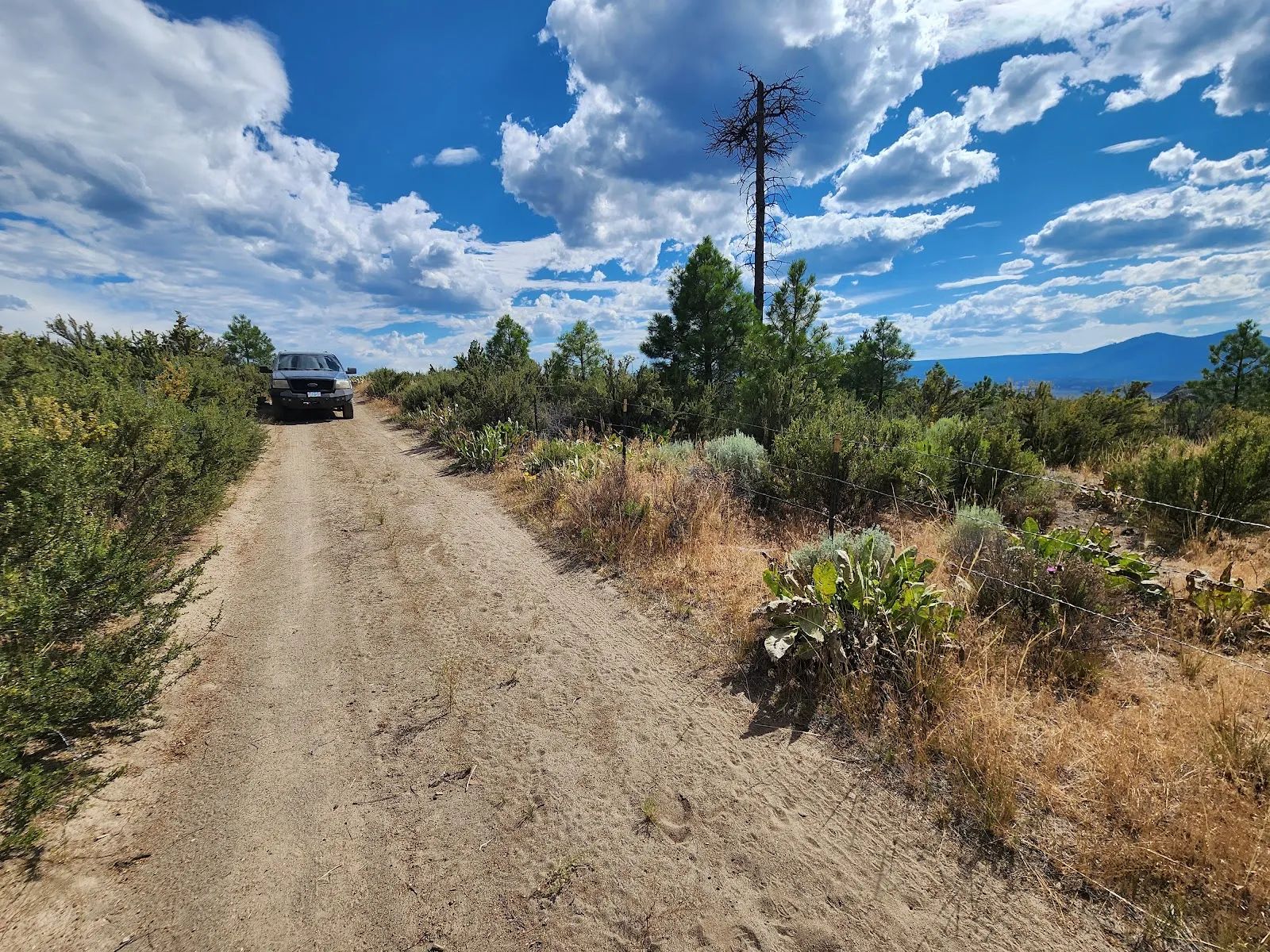 Your Future Homesite in Klamath Forest Estates in Klamath County, OR