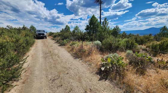 Your Future Homesite in Klamath Forest Estates in Klamath County, OR