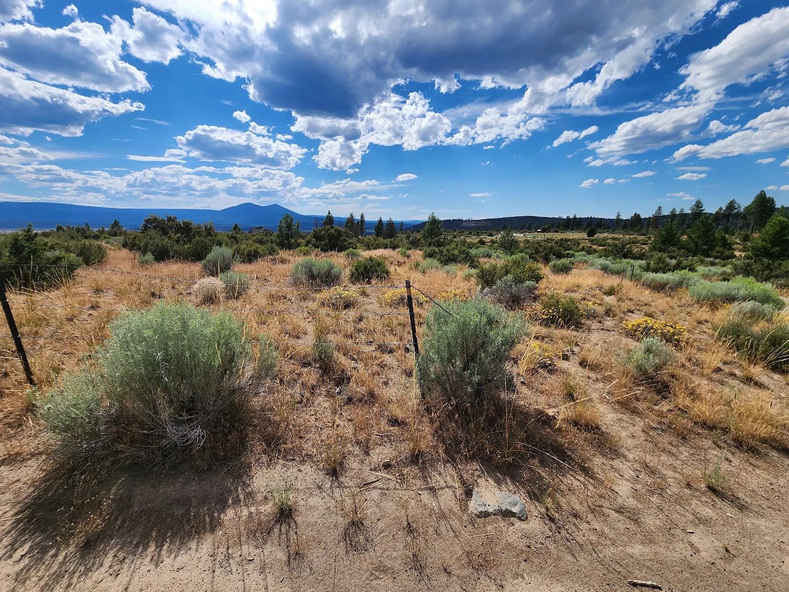 Your Future Homesite in Klamath Forest Estates in Klamath County, OR