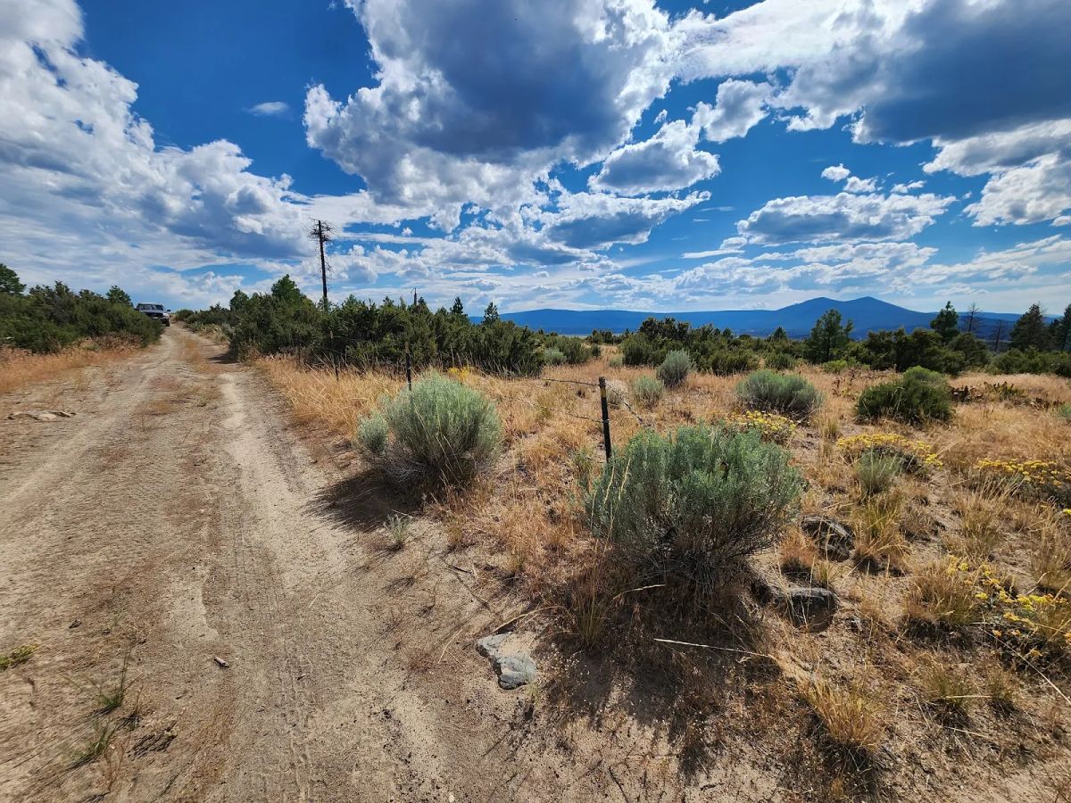 Your Future Homesite in Klamath Forest Estates - Image 4
