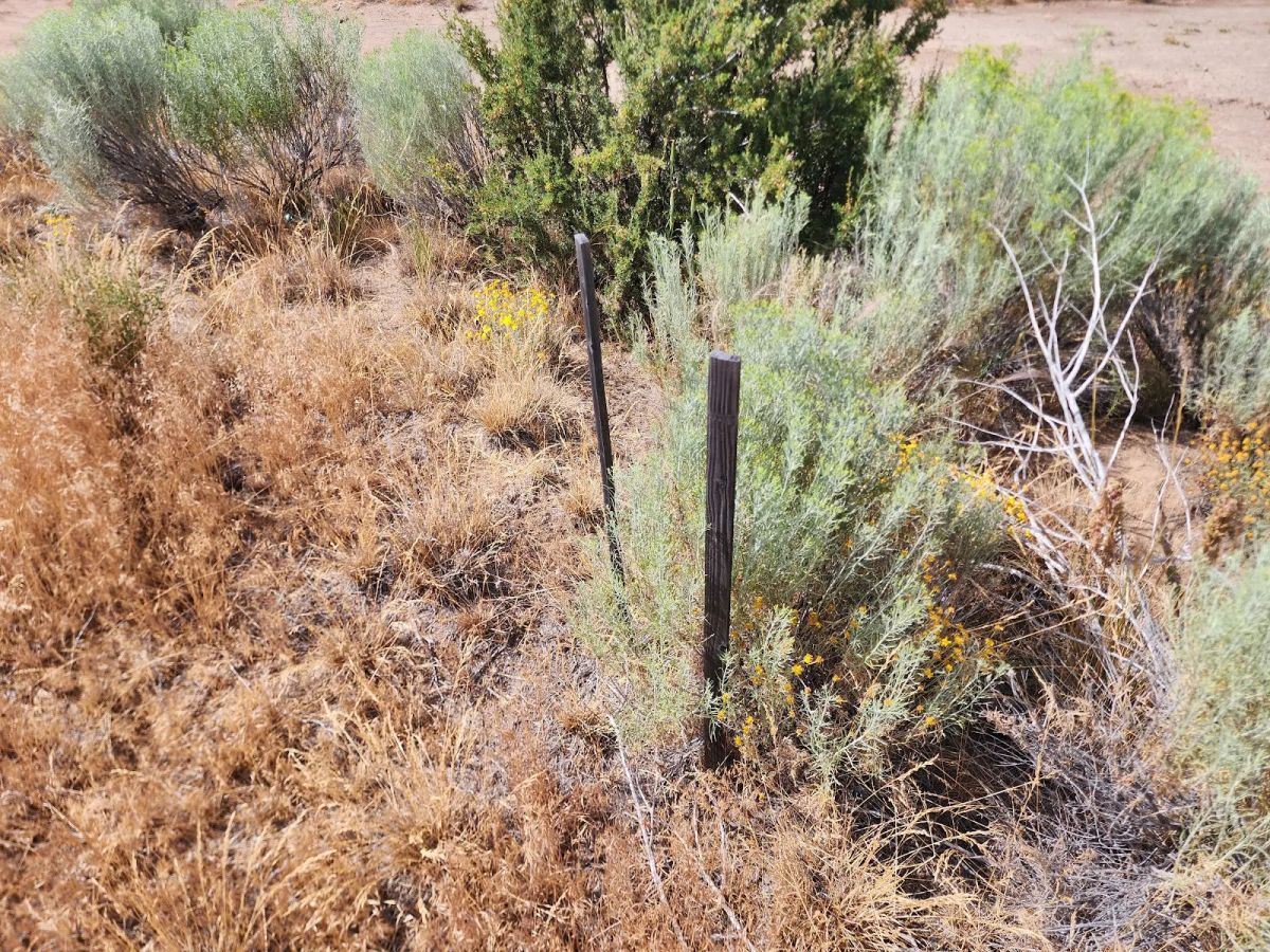 Decorative background for Your Future Homesite in Klamath Forest Estates image 6