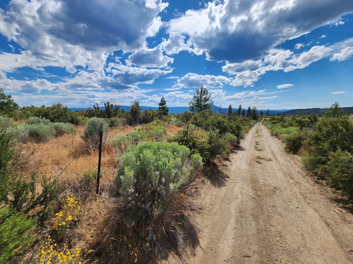 Decorative background for Your Future Homesite in Klamath Forest Estates image 7