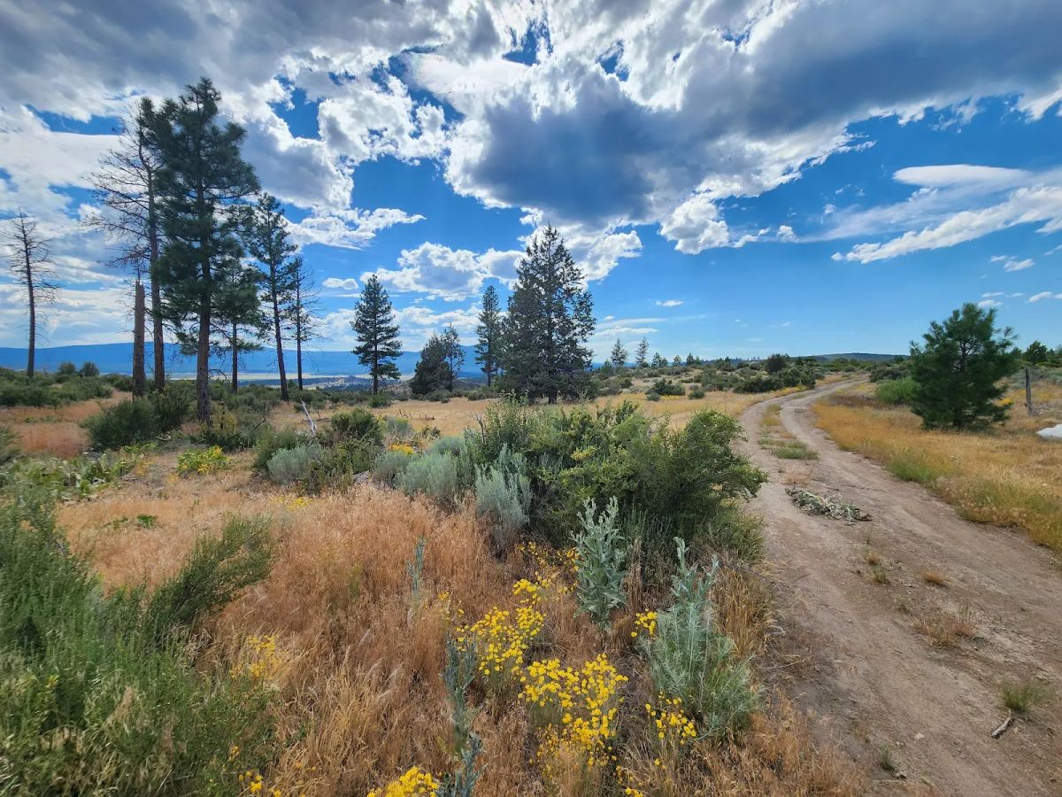 Decorative background for Your Future Homesite in Klamath Forest Estates image 11