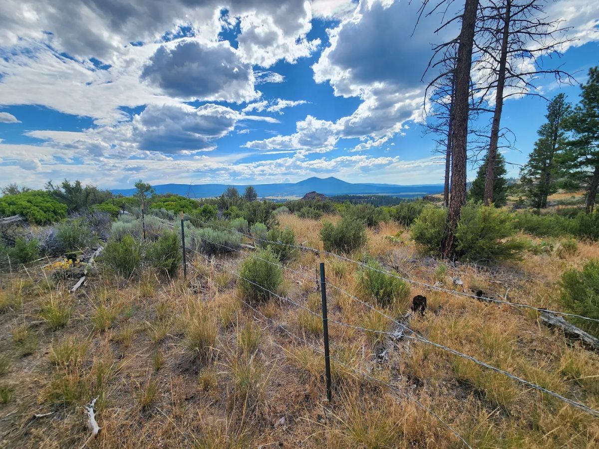 Decorative background for Your Future Homesite in Klamath Forest Estates image 12