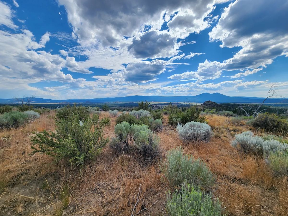 Decorative background for Your Future Homesite in Klamath Forest Estates image 18