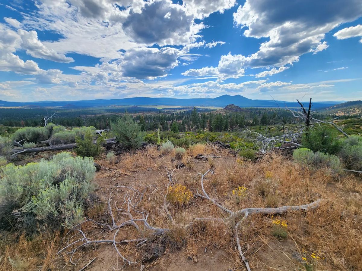 Decorative background for Your Future Homesite in Klamath Forest Estates image 19