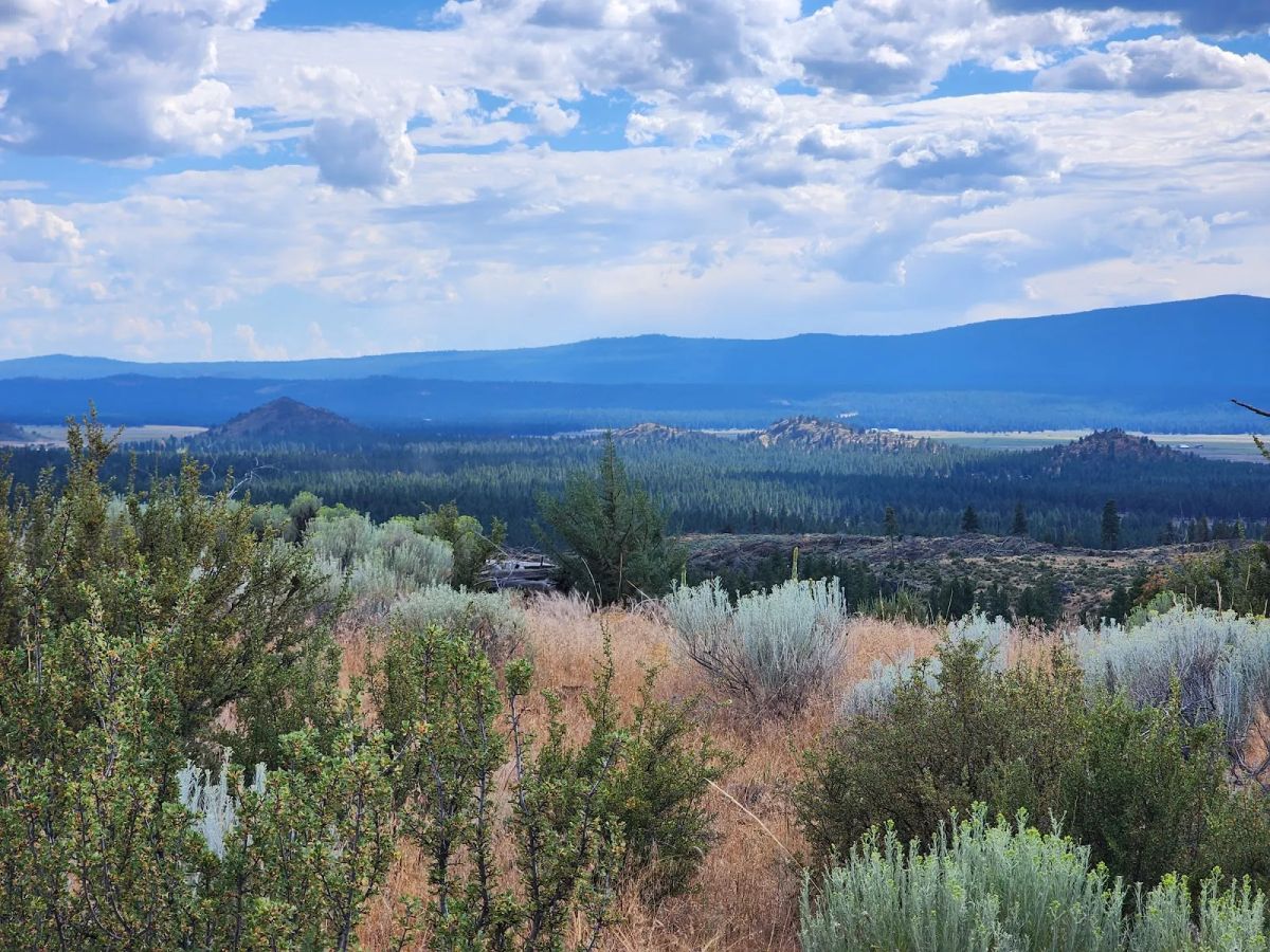 Decorative background for Your Future Homesite in Klamath Forest Estates image 20