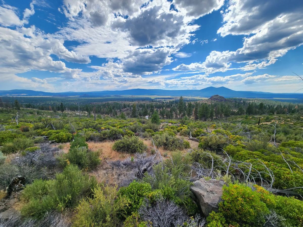 Decorative background for Your Future Homesite in Klamath Forest Estates image 22