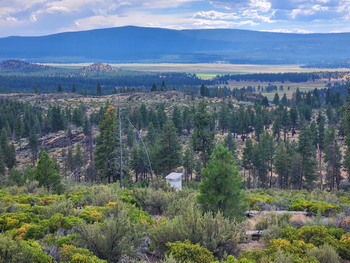Decorative background for Your Future Homesite in Klamath Forest Estates image 23