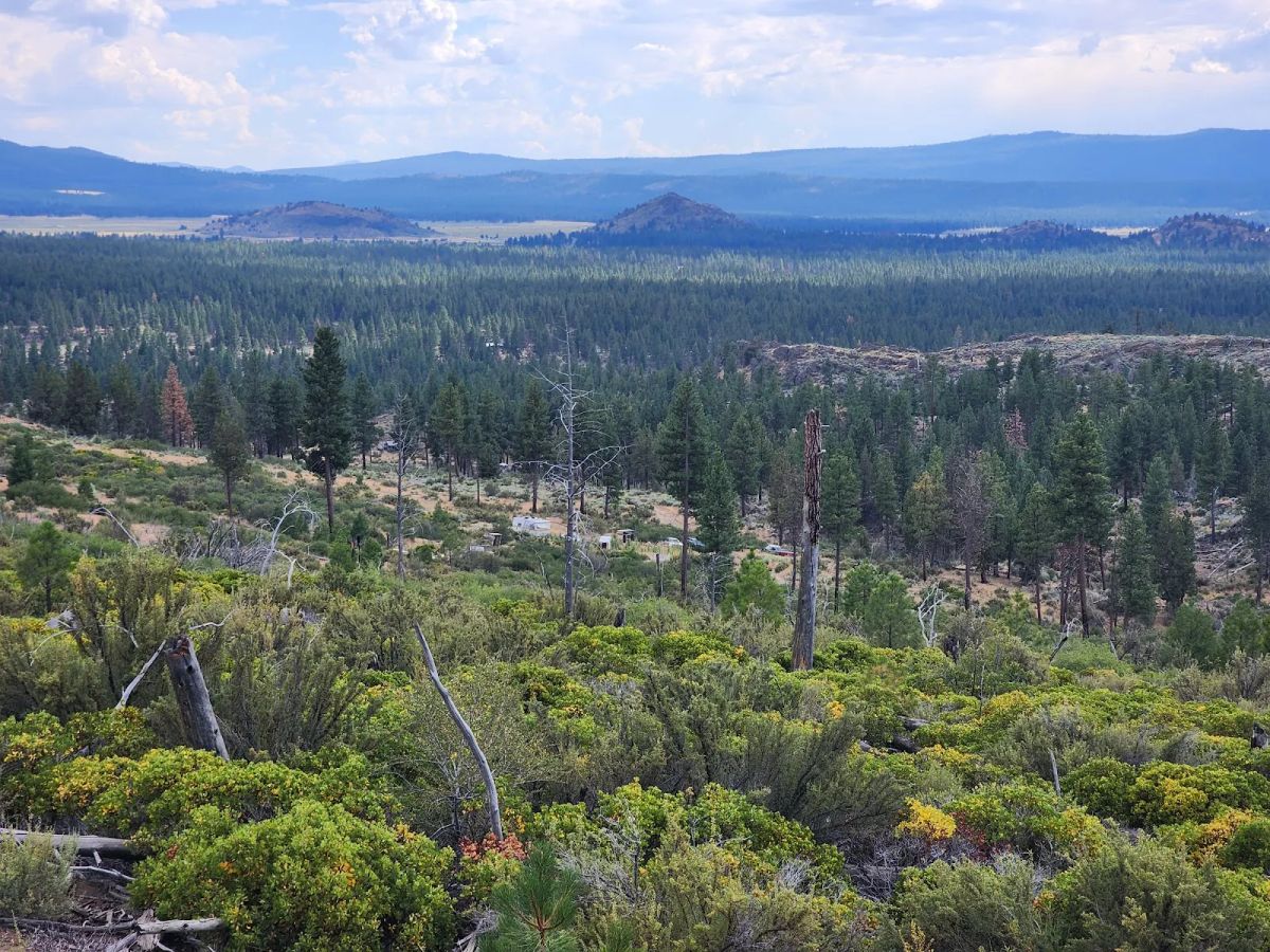 Decorative background for Your Future Homesite in Klamath Forest Estates image 24