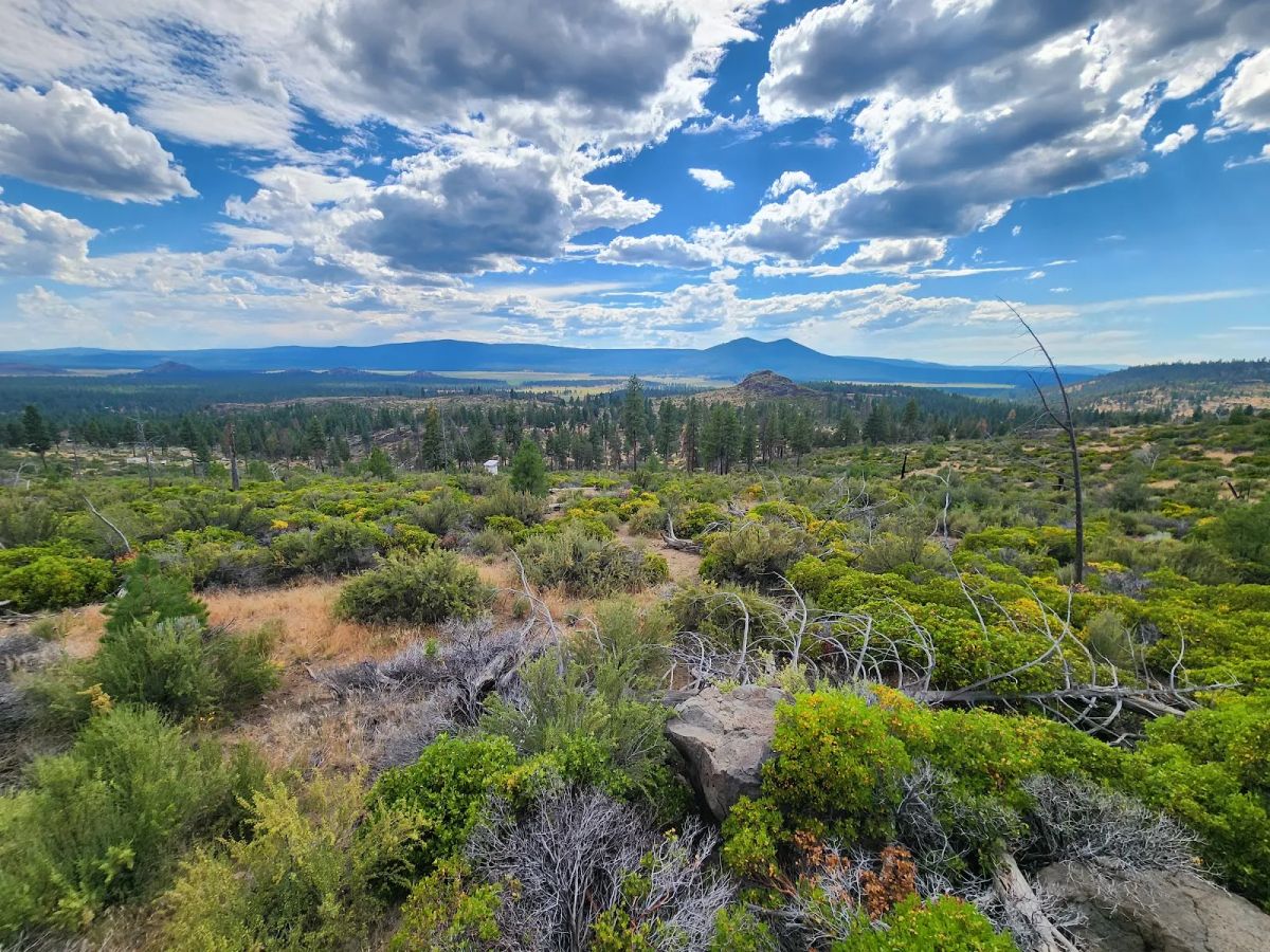 Decorative background for Your Future Homesite in Klamath Forest Estates image 25