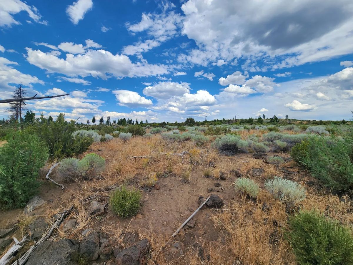 Decorative background for Your Future Homesite in Klamath Forest Estates image 26