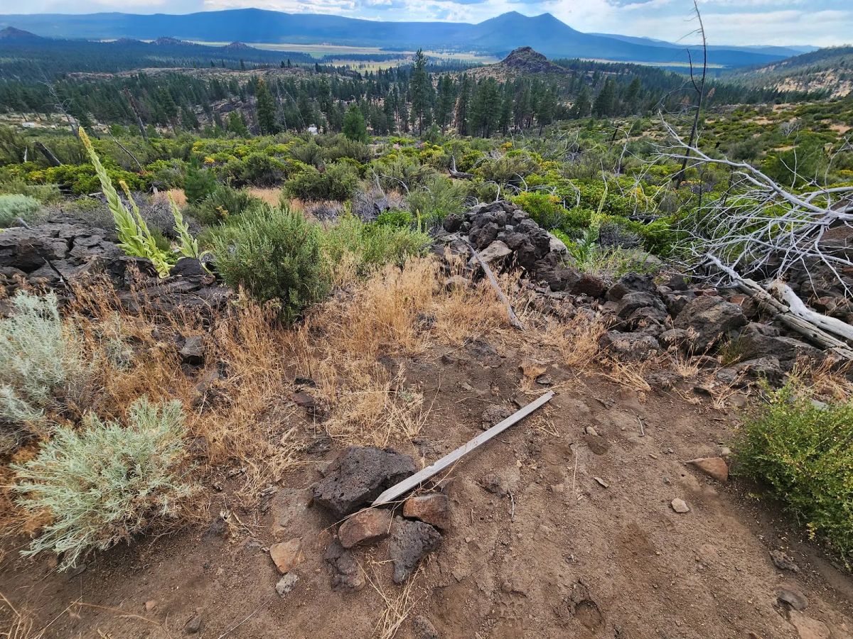 Decorative background for Your Future Homesite in Klamath Forest Estates image 28