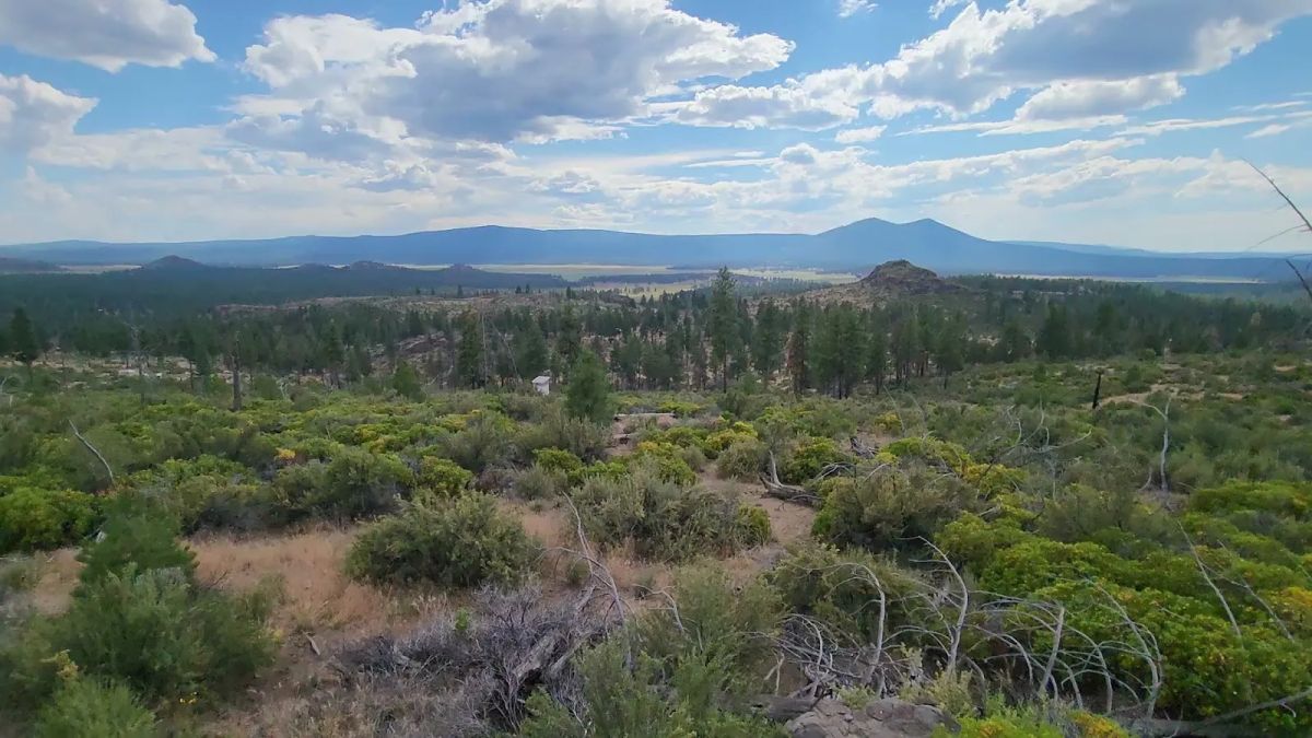 Decorative background for Your Future Homesite in Klamath Forest Estates image 29