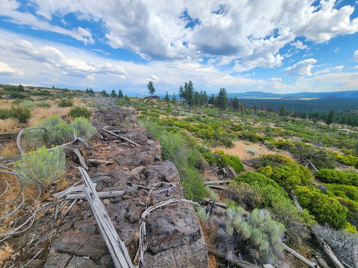 Decorative background for Your Future Homesite in Klamath Forest Estates image 30